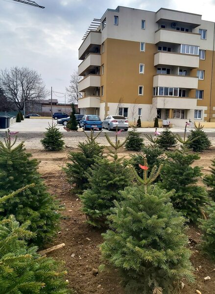 Soseaua Bucuresti- Magurele, zona Calea Rahovei